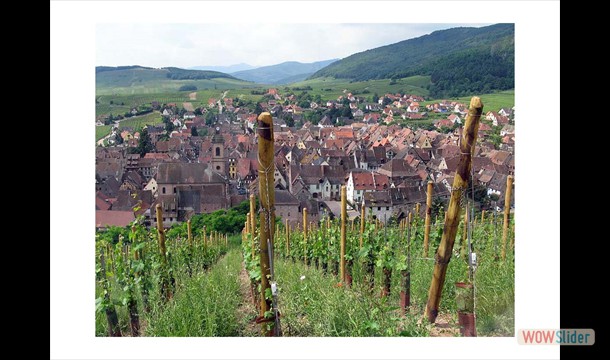 Alsace46